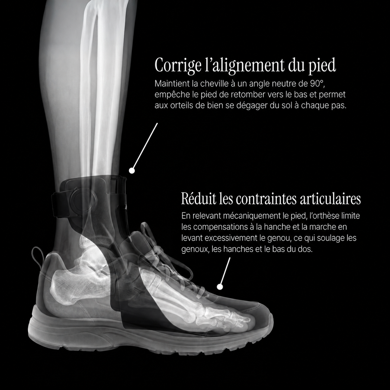 Orelven™ | Releveur de pied stop chute